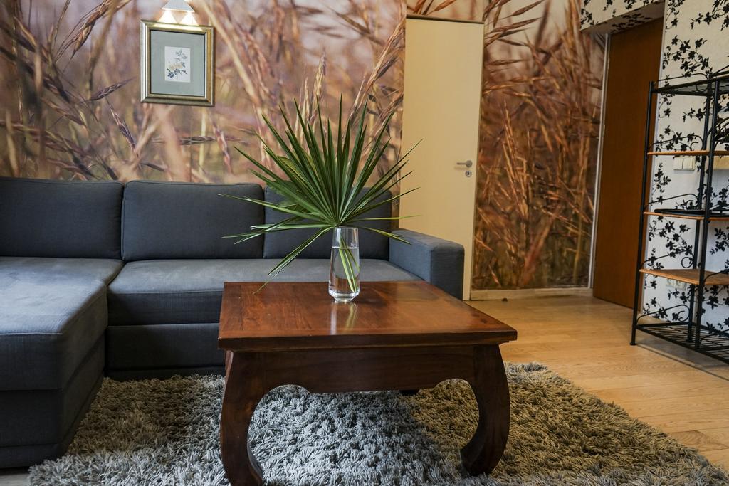 Guest House Senasis Pastas Druskininkai Exterior foto